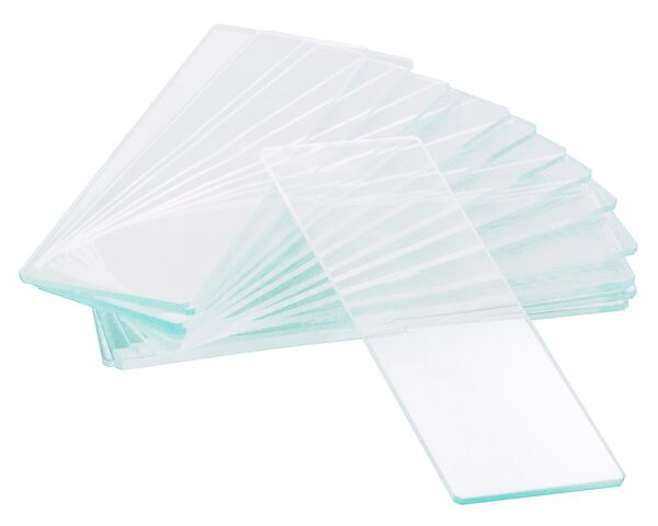 Levenhuk G50 1H Single Cavity Blank Slides, 50 pcs