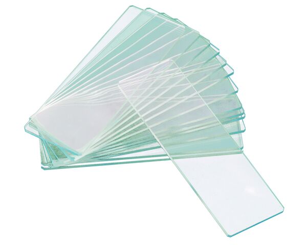 Levenhuk G50 2H Double Cavity Blank Slides, 50 pcs