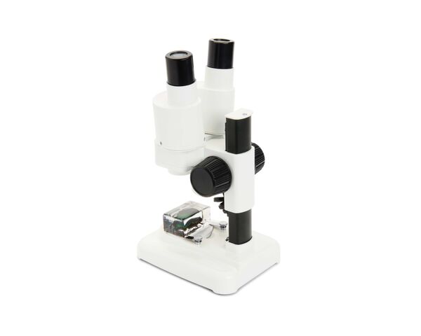 Labs S20 Stereolupe, image-3