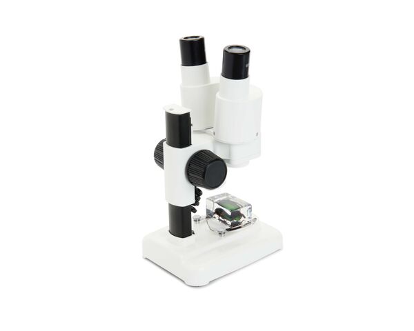 Labs S20 Stereolupe, image-4