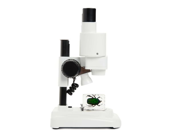 Labs S20 Stereolupe, image-8