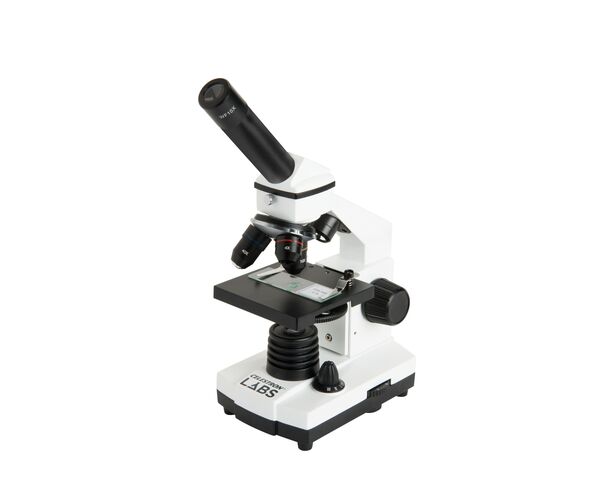Labs CM800 Mikroskop, image-2