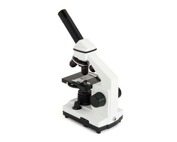 Labs CM800 Mikroskop, image-3