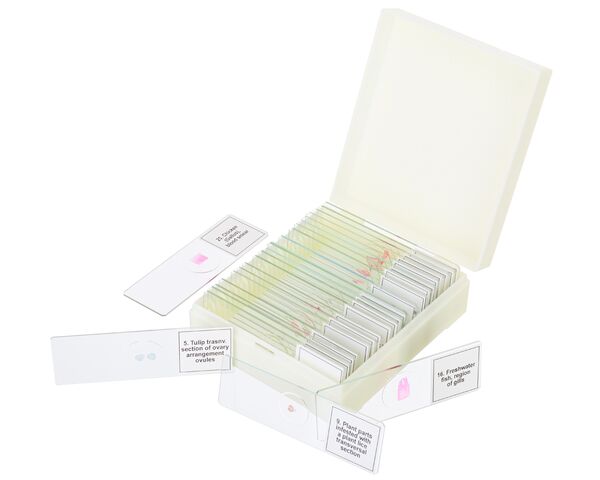 Discovery Prof Specimens DPS 25. “Biology, Birds, etc.”, image-4