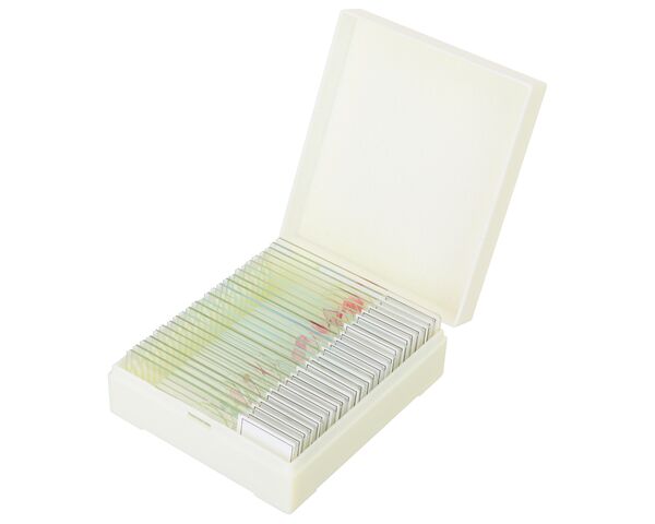 Discovery Prof Specimens DPS 25. “Biology, Birds, etc.”, image-6