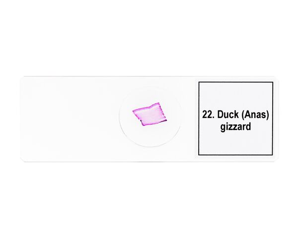 Discovery Prof Specimens DPS 25. “Biology, Birds, etc.”, image-10