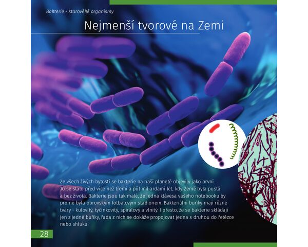 Neviditeľný svet. Vzdelávacie publikácie, image-4