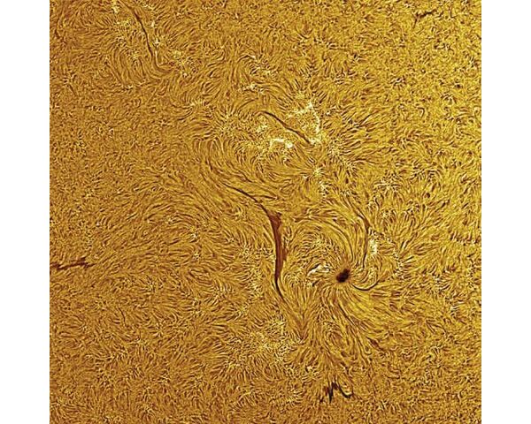 Meade LPI-GC Lunar Planetary Imager and Guider Color, image-4