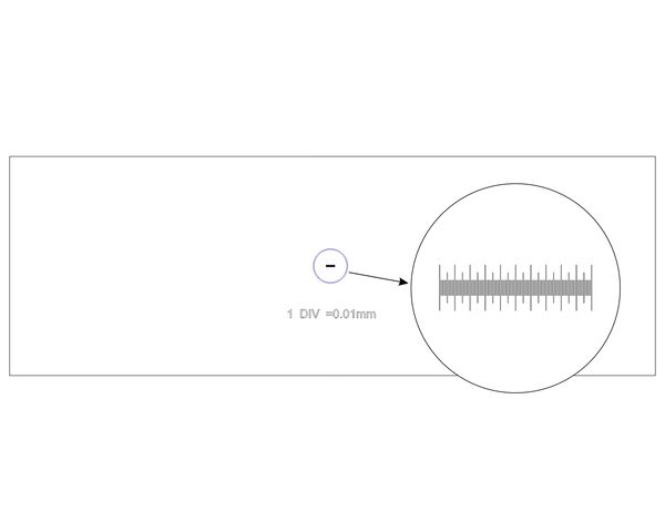 Levenhuk Calibration Slide, image-3