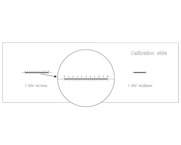 Levenhuk 3 Calibration Slide, image-3