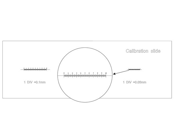 Levenhuk 3 Calibration Slide, image-5