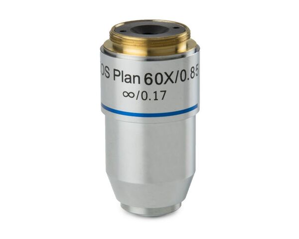 Šošovka Euromex 60x/0,80 plán, pružina, nekonečno, BB.7260 (BioBlue.lab)
