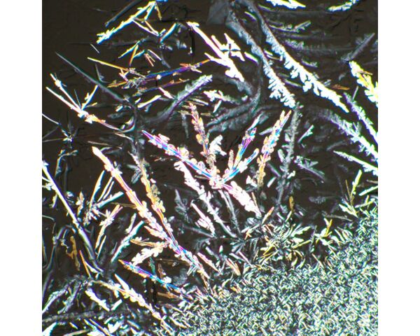 Súprava polarizátora/analyzátora MAGUS SPD1, image-6