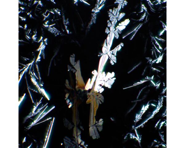 Súprava polarizátora/analyzátora MAGUS SPD1, image-7