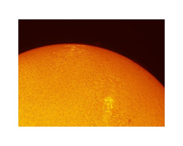 ZWO ASI 432 MM Mono Astronomická kamera, image-14