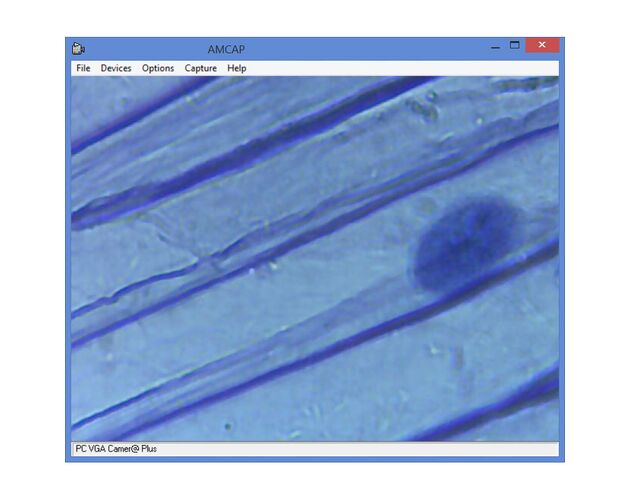 Mikroskop Omegon set, 1200x MonoView, kamera, najpredávanejší úvod do mikroskopie, prípravné zariadenia, image-14