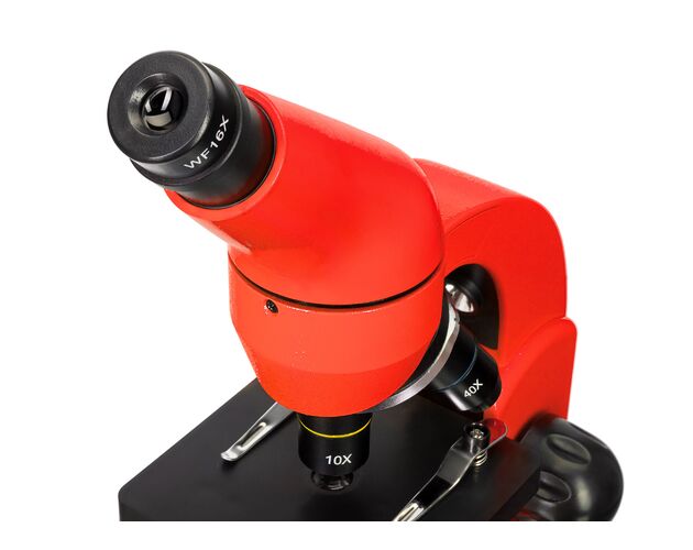 Mikriskop Levenhuk Rainbow 50L PLUS Orange, Farba: Orange, image-10