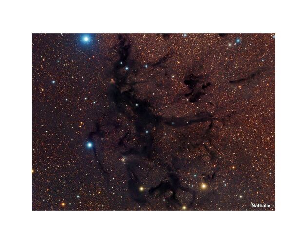 Meade ACF-SC 355/3556 UHTC LX200 - Schmidt-Cassegrain, image-4