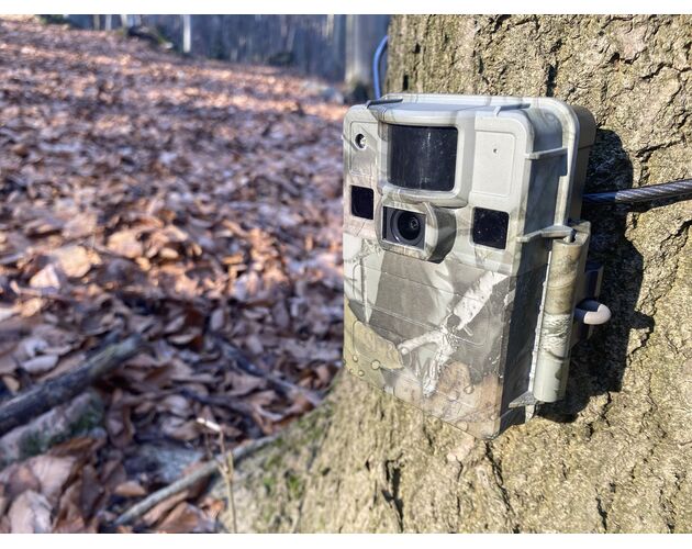 Fotopasca TETRAO S68 36 Mpx 940 nm - 2K video, image-18