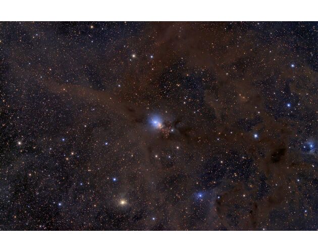 Celestron 11" RASA - RASA astrográf, image-19