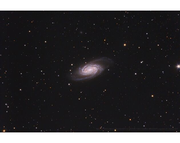 Celestron 1400 EdgeHD - Schmidt-Cassegrain, image-5