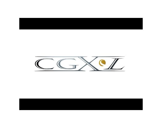 Celestron CGX-L Montierung, image-12