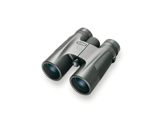 Bushnell Fernglas UP 10x25 WP
