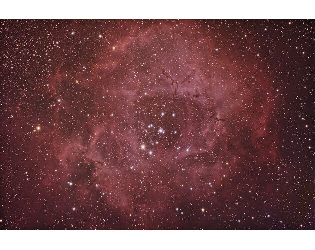EXPLORE SCIENTIFIC MN-152 David H. Levy Kometenjäger - Maksutov-Newton, image-6