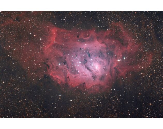 BRESSER Messier NT-203s/800 - teleskop Newton, image-4