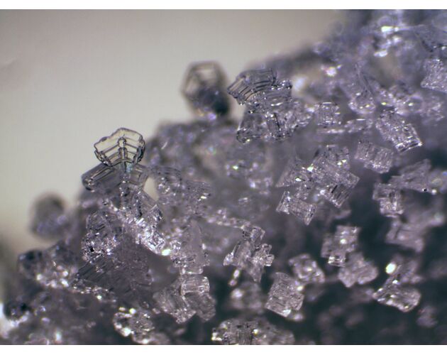 Bresser Erudit ICD Stereomikroskop, image-6