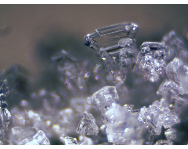 Bresser Erudit ICD Stereomikroskop, image-7