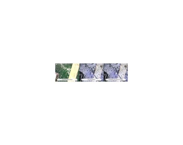 Dino-Lite Mikroskop AM7515MT8A 5MP 700-900x 8 LED 30 fps USB 2.0, image-7