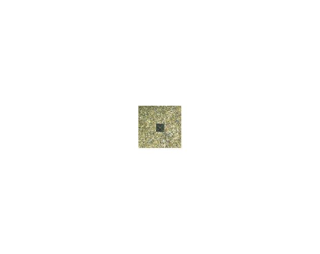 Motic Inverzný mikroskop AE2000 MET, trinokulárny, 50×–500×, LM, tmavé pole, 100W, image-6