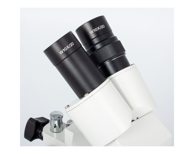 Motic Stereomikroskop ST-30C-2LOO, 20×/40×, image-4
