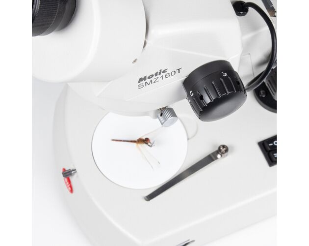 Motic Zoom-stereomikroskop SMZ-160-TLED, binokulárny, LED, 0,75×–4,5×, image-2
