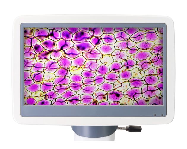 Digitálny mikroskop Levenhuk D85L LCD, monokulárny, image-5