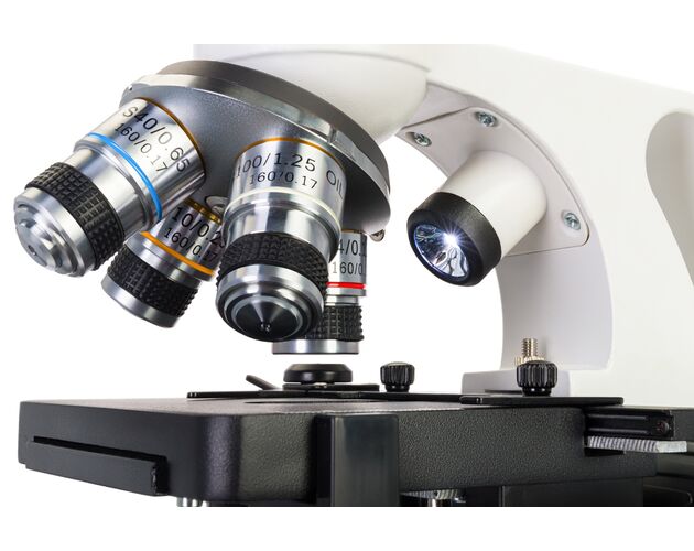 Levenhuk Discovery Atto Polar mikroskop so vzdelávacou publikáciou, image-10