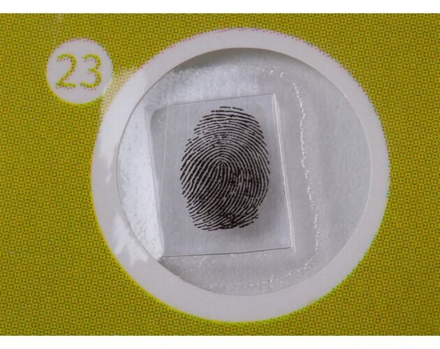 Sada hotových rastlinných preparátov Levenhuk LabZZ P12, rastliny, image-6