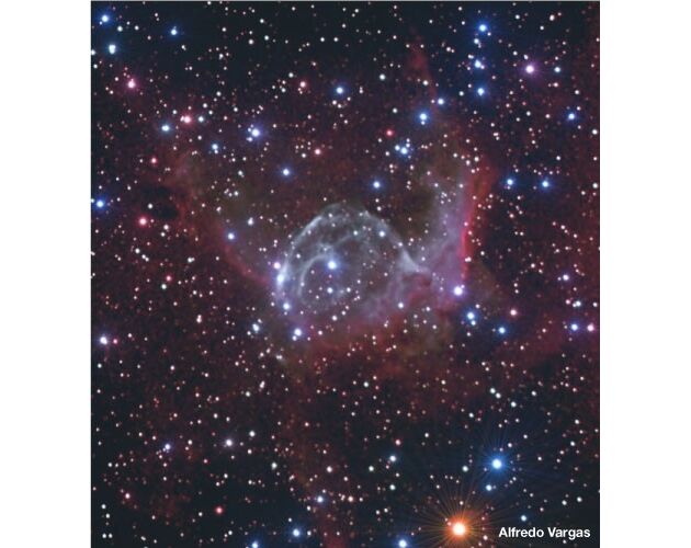 Meade LX200 10'' F/10 ACF OTA teleskop, image-3