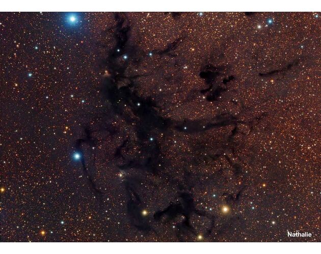 Meade LX200 14'' F/10 ACF OTA teleskop, image-3