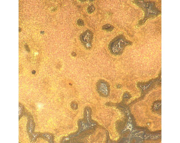 MAGUS Metal 650 Metalurgický mikroskop, image-18