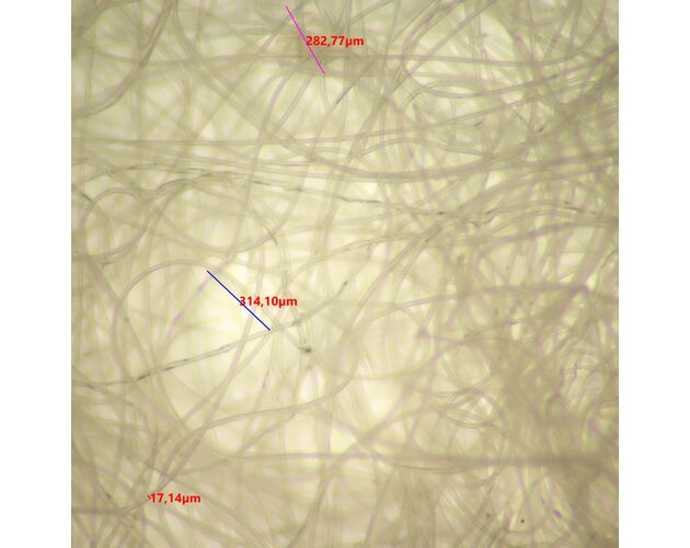 MAGUS Stereo 9T Stereomikroskop, image-19