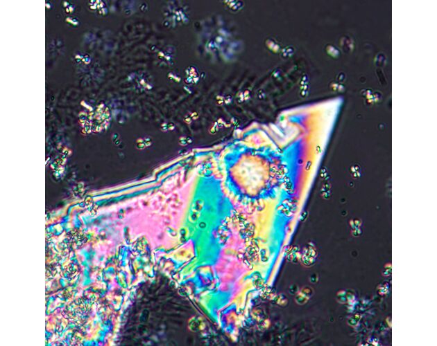 MAGUS Pol 800 Polarizačný mikroskop, image-16