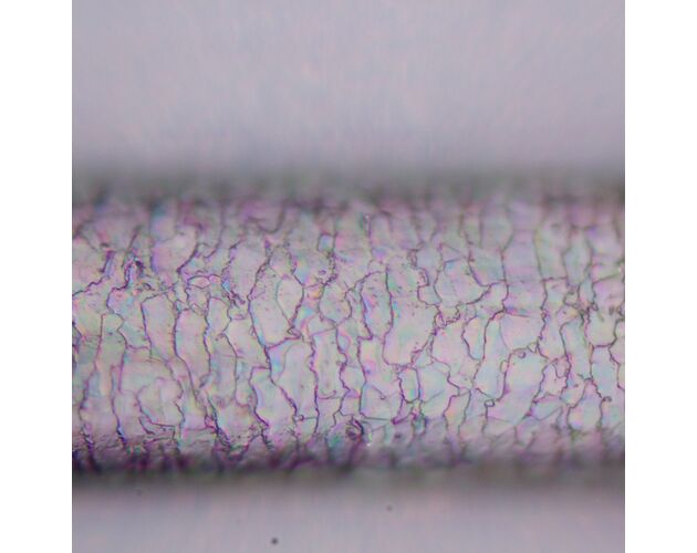 MAGUS Pol 800 Polarizačný mikroskop, image-18