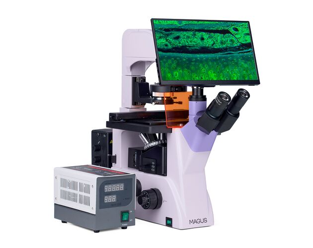 MAGUS Lum VD500 LCD Fluorescenčný digitálny invertovaný mikroskop, image-3