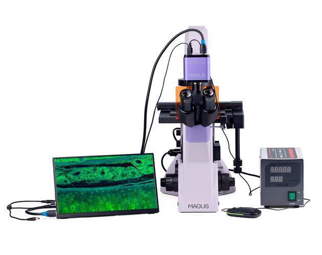 MAGUS Lum VD500 LCD Fluorescenčný digitálny invertovaný mikroskop, image-5