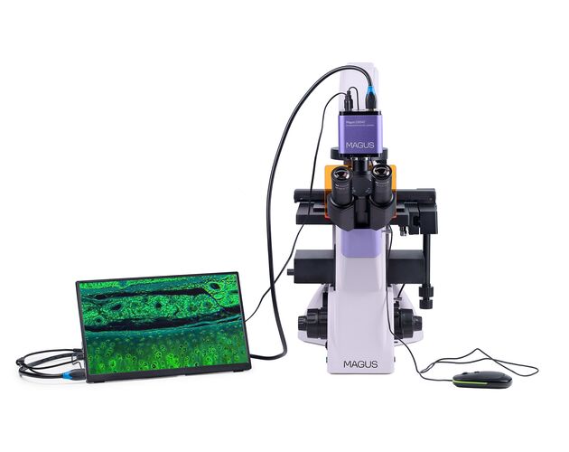 MAGUS Lum VD500L LCD Fluorescenčný digitálny invertovaný mikroskop, image-5