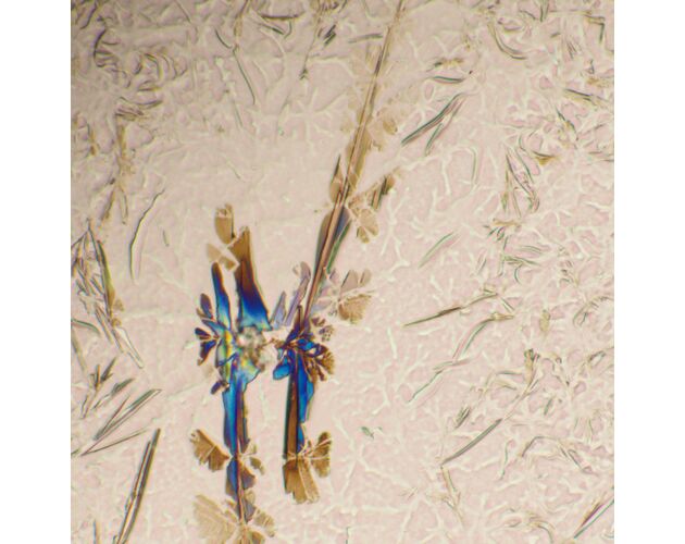 MAGUS Bio 290T Biologický mikroskop, image-24