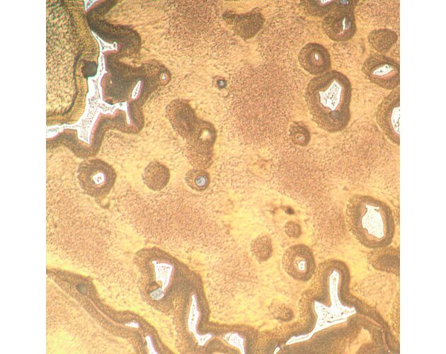 MAGUS Metal V790 DIC Metalurgický invertovaný mikroskop, image-11