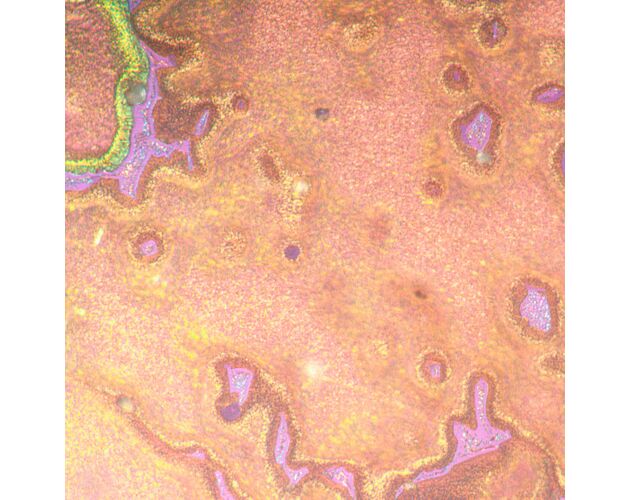 MAGUS Metal V790 DIC Metalurgický invertovaný mikroskop, image-21